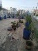 Roof top plants with gardening soil & appropriate drum